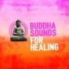 Healing Gift (口白) - Buddha Sounds