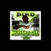 Y'all Don't Really Know Me (Explicit) - Bird100