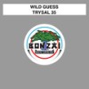 Trysal 35 (Jakhira's Guess Again Remix) - Wild Guess