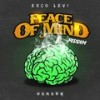 Hungry(Peace of Mind Riddim) - Exco Levi