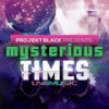 Mysterious Times (Basslouder Remix) - Projekt Black