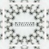 Cradlearms (Riamiwo Remix) - MiraculuM