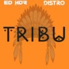 Tribu (Original Mix) - Ed HDZ&DJ Distro