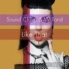 Like That (Original Mix) - Sound Cloup&Willand