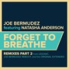 Forget To Breathe (LeSonic Remix) - Joe Bermudez&Natasha Anderson&LeSonic