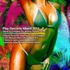 Miami Vice (Zoltan Kontes & Jerome Robins Tech Remix) - DJ PP