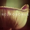 Good Day (Piano Version) - Neuroborus