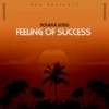 Feeling Of Success (Explicit) - Soulful Loso