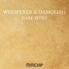 Dark Story (Edoardo Spolaore Remix) - Damolh33&Whisperer