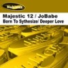 Born To Synthesize (Original Mix) - Majestic 12