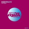 All My Triggers (Original Mix) - Hibernate