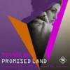 Promised Land (NTFO remix) - Moonbeam