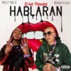 Si Las Paredes Hablaran - Nelly Nelz&Nengo Flow