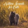 Calm Down - Pet Care Club&Rest&Relax Nature Sounds Artists&Sleep Sound Library