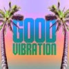 Good Vibration (Bus up Shop Remix) - House Of David Gang&Gisto