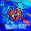 Please Stay - Crazy Tiger&Shaun Pakade