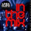 In the Mix (Continuous DJ Mix) - Various Artists