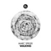 Walking (Extended) - Marc Spieler