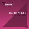 Fluctuations - Dario Nunez