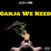 Ganja We Need (Explicit) - Jigsy King