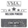 El Gato con Zapatos (Bolero) - Nelson Pinedo