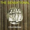 They Say It's Wonderful - Chordettes