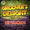 Groover's Delight (Radio Edit) - Dr. Kucho!