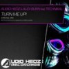 Turn Me Up! (Original Mix) - Audio Hedz&Alex Burn&Technikal