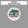 Time Stops Here - Saarre