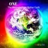 One(The Message from Mother Earth) - Heidi Little