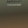 Andreas Abridgement - Chie Orla