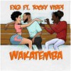 Wakatemba - ExQ&Tocky Vibes