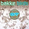 Birds (Atmos Remix) - Bakke