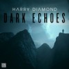 Dark Echoes (Extended Mix) - Harry Diamond&Kieron Mcternan&Sergei Forster Hall