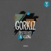 Visions (Original Mix) - Gorkiz