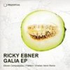 Open Your Raise (Original Mix) - Ricky Ebner