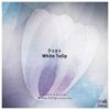 White Tulip - Daga