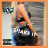 Shake It (Explicit) - Dorzi