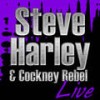 The Lighthouse (Live) - Steve Harley&Cockney Rebel