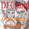 Zwei Spuren im Schnee (DJ Version) - 查磊