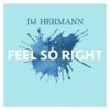 Feel so Right - DJ Hermann