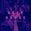 Ain't Goin Home (Wave Dose Vocal Remix) - AMDM&Sean Nice