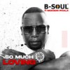 So Much Loving (Dub Mix) - B-Soul&Nickson Phala