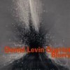 Untitled - Daniel Levin Quartet&Daniel Levin&Nate Wooley&Matt Moran