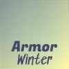 Armor Winter - Danio Steini