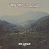 Punilla (Dio S Remix) - Analog Jungs&Dio S