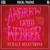 Unexpected Song (Accompaniment with Guide Vocals) - Stage Stars&Andrew Lloyd Webber&Tim Rice