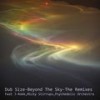 Beyond The Sky (Original Mix) - Dub Size