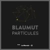 Partícules - Blaumut