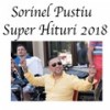 Ca un Tablou te Privesc - sorinel Pustiu